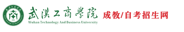 武汉工商学院