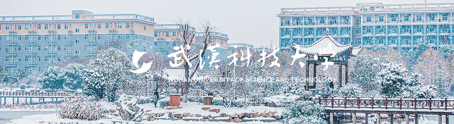 武汉科技大学 武汉科技大学