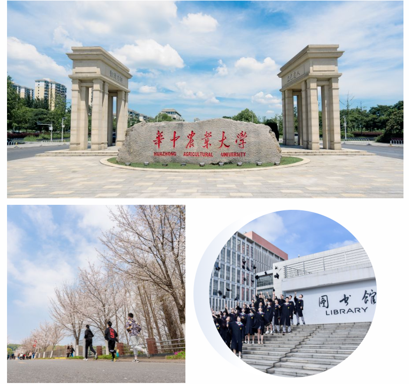 1654054378203519.jpg 1654054370997.jpg